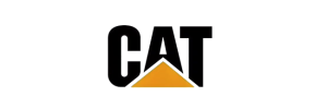 Home cat1